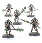 Triarch Praetorians Lychguard